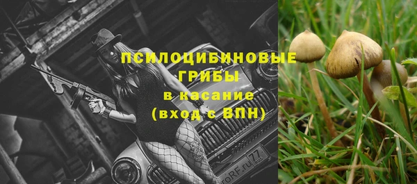 каннабис Горно-Алтайск