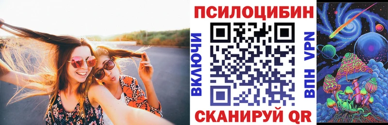 Псилоцибиновые грибы GOLDEN TEACHER Королёв